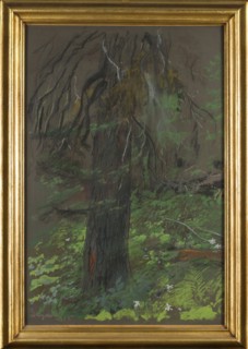 Wyczólkowski, Leon 1852–1936, painter. Title/subject: forests, spruces, trees. Date: 1915. Medium: