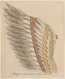 Fragment of a wing from a hussar regiment; drawing glued with the entire surface onto paper of