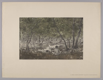 Karst Landscape; Ernst Arnold maker, 1895; engraved by Karl Mediz 1868–1945; published by Wilhelm