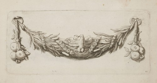 Feston: Quellinus, Artus 1609–1668, engraver; Baroque; doves, apples, festoons, garlands, rushes,