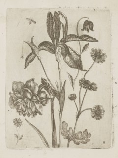 Floral arrangement, Tobias Frankenberger 1627–1664; young, engraver/author; German; flowers;