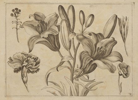 Floral composition; creator: Frederik de Wit ca. 1630–1706, young; engraver: Jeremias Falck ca.