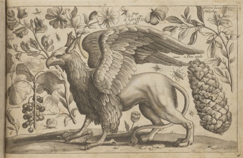 Gryf; Hollar, Wenceslaus 1607–1677 engraver, author; Overton, John 1640–1708? engraver, publisher;