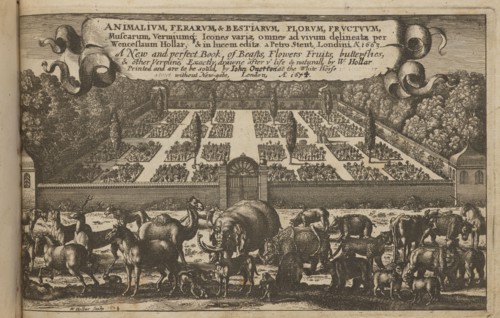 Title page: Trophées d'Armes antique et moderne, servant a toutes sortes d'ouvriers, pour