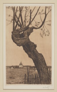 Alte Weide, Luntz, Adolf 1875–1934 graphic artist / author; trees, willows; graphic art; old age;