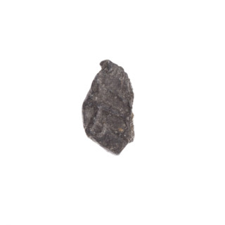 Fragment of a double-sided Drohiczyn seal. On one side an eagle with its head turned to the right;