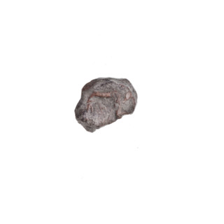 Drohiczyn seal; fragment of a double-sided seal with an illegible drawing on one side and the