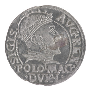 Lithuanian grosz on a Polish foot, Sigismund II Augustus (King of Poland; 1544–1572), Jagiellon