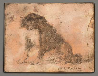 Sitting Dog; Plonski, Michal (1778–1812), graphic artist; animal studies; dogs; 1802; Amsterdam;