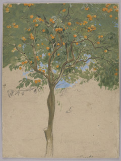 Orange tree; Hans Thoma (1839–1924), draughtsman; former German property; German drawing; Sorrento