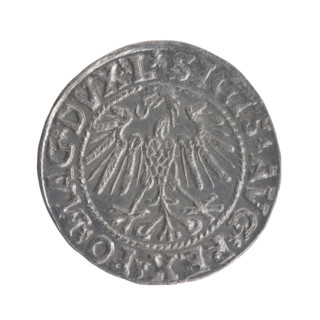 Lithuanian half-grosz, Sigismund II Augustus (King of Poland; 1544–1572), good condition, R3