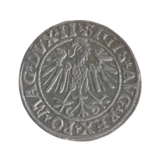 Lithuanian half-grosz, Sigismund II Augustus (King of Poland; 1544–1572), very good condition,