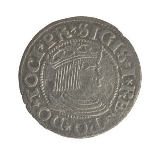 Gdansk grosz, Sigismund I the Old (King of Poland; 1506–1548). Obverse: Crowned male bust in