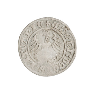 Lithuanian half-grosz, Sigismund I the Old (king of Poland; 1506–1548). R8 (rarity). Obverse: Pogon