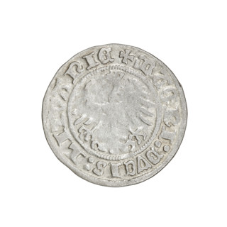 Lithuanian half-grosz, Sigismund I the Old (King of Poland; 1506–1548). Obverse: Pursuer (coat of
