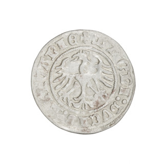 Lithuanian half-grosz, Sigismund I the Old (King of Poland; 1506–1548). Obverse: Pursuer (coat of