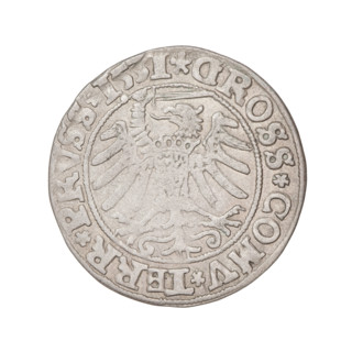 Prussian grosz, Sigismund I the Old (King of Poland; 1506–1548); 1531. Obverse: Crowned male bust