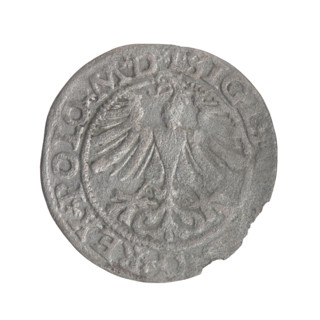Lithuanian half-grosz, Sigismund II Augustus (King of Poland; 1544–1572). Obverse: Polish eagle; in