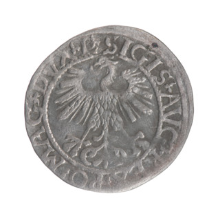 Lithuanian half-grosz, Sigismund II Augustus (King of Poland; 1544–1572). Obverse: Polish Eagle