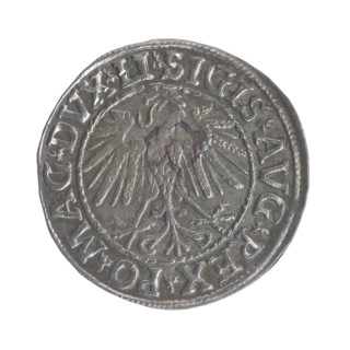 Lithuanian half-grosz, Sigismund II Augustus (King of Poland; 1544–1572). Obv.: Polish Eagle; in