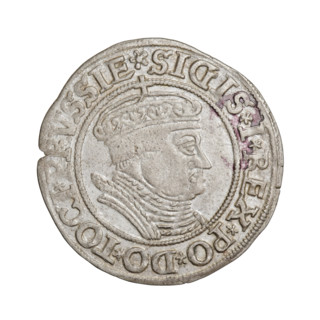 Prussian grosz, Sigismund I the Old (King of Poland; 1506–1548). Obverse: Crowned male bust in