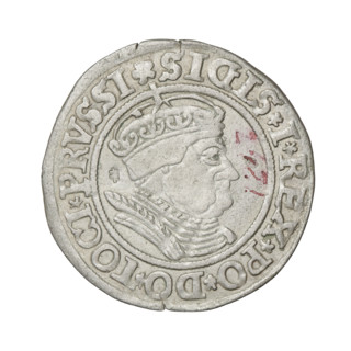Prussian grosz, Sigismund I the Old (King of Poland; 1506–1548). Obverse: Crowned male bust in