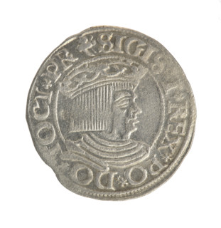 Gdansk grosz, Sigismund I the Old (King of Poland; 1506–1548). Obverse: Crowned male bust in