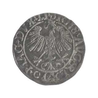 Lithuanian half-grosz, Sigismund II Augustus (King of Poland; 1544–1572). Obverse: Polish eagle; in