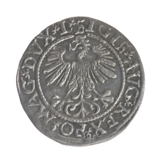 Lithuanian half-grosz, Sigismund II Augustus (King of Poland; 1544–1572). Obverse: Polish Eagle; in