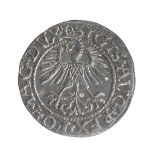 Lithuanian half-grosz, Sigismund II Augustus (King of Poland; 1544–1572). Obv.: Polish Eagle; in