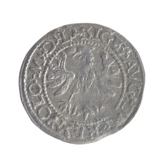 Lithuanian half-grosz, Sigismund II Augustus (King of Poland; 1544–1572). Obv.: Polish Eagle; in