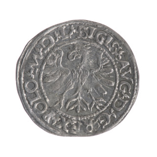 Lithuanian half-grosz, Sigismund II Augustus (King of Poland; 1544–1572). Obverse: Polish eagle, in