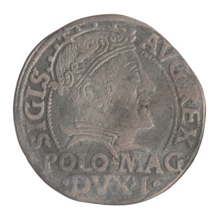 Lithuanian grosz on a Polish foot, Sigismund II Augustus (King of Poland; 1544–1572). Obverse: