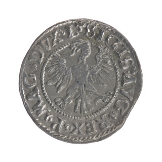 Lithuanian half-grosz, Sigismund II Augustus (King of Poland; 1544–1572). Obverse: Polish Eagle; in