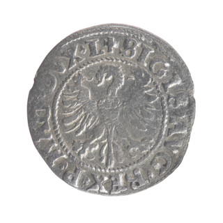 Lithuanian half-grosz, Sigismund II Augustus (King of Poland; 1544–1572). Obverse: Polish Eagle; in