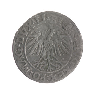 Lithuanian half-grosz, Sigismund II Augustus (King of Poland; 1544–1572); obverse: Polish Eagle