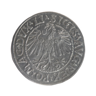 Lithuanian half-grosz, Sigismund II Augustus (King of Poland; 1544–1572). Obverse: Polish Eagle; in