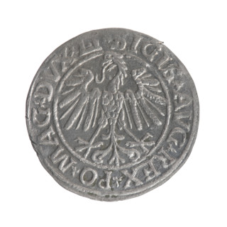 Lithuanian half-grosz, Sigismund II Augustus (King of Poland; 1544–1572). Obverse: Polish Eagle; in