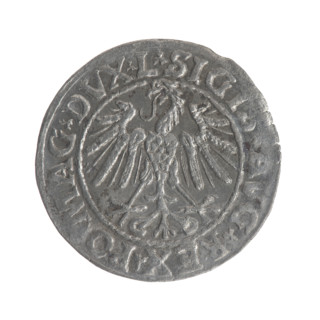 Lithuanian half-grosz, Sigismund II Augustus (King of Poland; 1544–1572). Obverse: Polish eagle; in