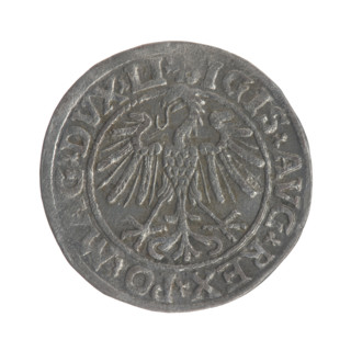 Lithuanian half-grosz, Sigismund II Augustus (King of Poland; 1544–1572). Obverse: Polish eagle; in