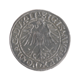Lithuanian half-grosz, Sigismund II Augustus (King of Poland; 1544–1572). Obverse: Polish eagle; in