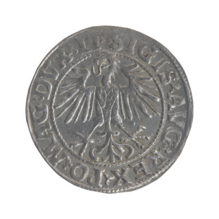 Lithuanian half-grosz, Sigismund II Augustus (King of Poland; 1544–1572). Obverse: Polish eagle; in