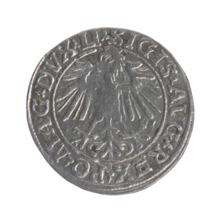 Lithuanian half-grosz, Sigismund II Augustus (King of Poland; 1544–1572). Obverse: Polish Eagle; in