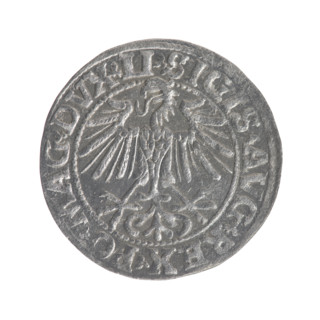 Lithuanian half-grosz, Sigismund II Augustus (King of Poland; 1544–1572). Obverse: Polish Eagle; in