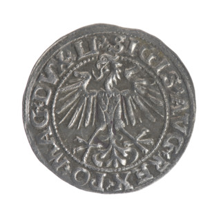 Lithuanian half-grosz, Sigismund II Augustus (King of Poland; 1544–1572); obverse: Polish Eagle