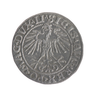 Lithuanian half-grosz, Sigismund II Augustus (King of Poland, 1544–1572). Obverse: Polish Eagle; in
