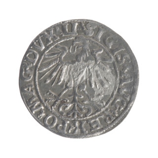 Lithuanian half-grosz, Sigismund II Augustus (King of Poland; 1544–1572). Obverse: Polish eagle; in