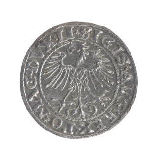 Lithuanian half-grosz, Sigismund II Augustus (King of Poland; 1544–1572). Obverse: Polish Eagle; in