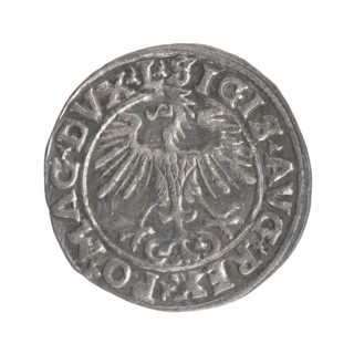 Lithuanian half-grosz, Sigismund II Augustus (King of Poland; 1544–1572). Obverse: Polish eagle; in