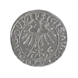 Lithuanian half-grosz, Sigismund II Augustus (King of Poland; 1544–1572). Obverse: Polish Eagle; in
